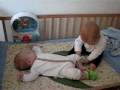 videos de KITTENS! 023