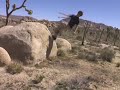 le-best-off-parkour.html