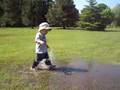 puddles 2