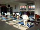 gentle yoga flow gentle yoga flow