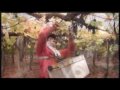 Caminos | Wine Boutique - Viaje a Mendoza (1ra parte)