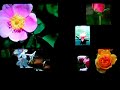 Apple TV Screen Saver Apple TV Screen Saver