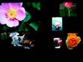 Apple TV Screen Saver
