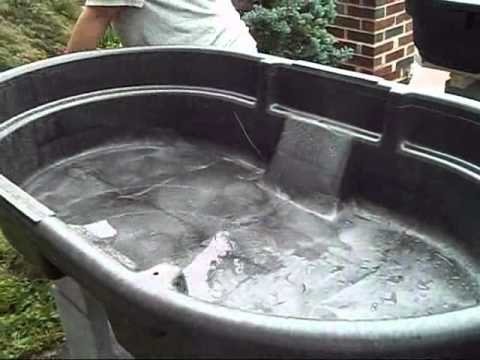 Aquaponics system for under $200