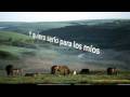 felicitaci�n de navidad a-12-24-13-18 wmv