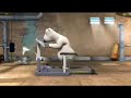 Urso Louco