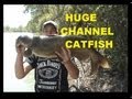 BIG  HUGE CHANNEL CAT &  Drum MAY 25 2008