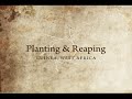 Planting and Reaping in Guinea
