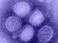Are We in Store for a Second Wave of Swine Flu?