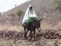 video DAR FUR - War for...