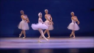 Ballerina Swan