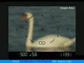 Nikon D80 - Controlling the Active Auto-Focus Area