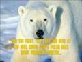 Polar Bears and Global Warming