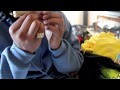 RichyRich ChiChing - fly high (flyer than a plane) Rollin Gees