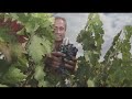 Bodegas Lecea - San Asensio, La Rioja