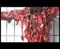 Kreator - Violent Revolution