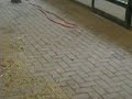 Elgee Power-Vac cleans horse stable in seconds!!!.MOV