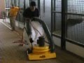 Elgee Power-Vac cleans horse stable in seconds!!!.MOV