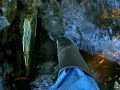 walking in wellies