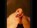 Cute Leopard Gecko Slideshow