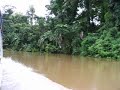 Boat Ride to Tortugero