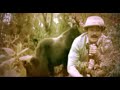 Una increible historia de amor entre una mujer y un gorila de llombu plateau.