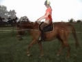 Wivise\
