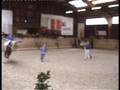Pflicht der Hegnacher A-Gruppe