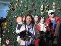 The Christmas Song - Shanghai Merry Makers