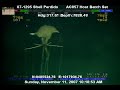 Deep-sea squid (Magnapinna sp.) Deep-sea squid (Magnapinna sp.)