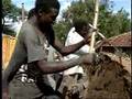 Responding to Africa's Challenges (Preview of 2008 Annual Meetings)
