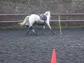 pony-games