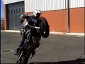 animal wheeling