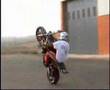Animal wheeling