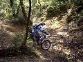 trial  en palamos