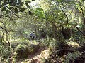 trial  en palamos