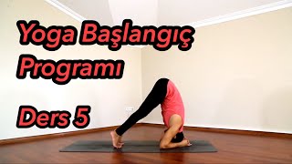 Yoga Başlangıç Programı Ders 5