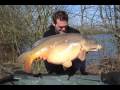 carp fishing - karper - karpfen - carpe