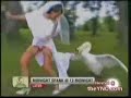 Swan ATTACK�s