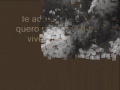 ..nOs AMoS cOm eXAgERo & iNTenCIdAdE ..nOs AMoS cOm eXAgERo & iNTenCIdAdE