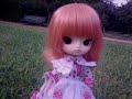 kedada pullips