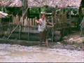 Rice Field Preparation, Cambodia