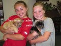 Fairfield Area Humane Society