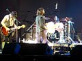 Pearl Jam and KOL Hawaii