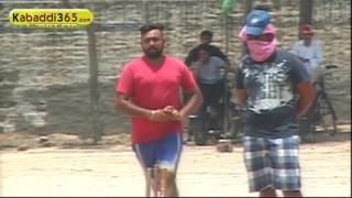 (1) Gholia Kalan (Moga) Cricket Tournament 5 June 2016