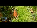 Vangelis -- MITHODEIA Vangelis -- MITHODEIA