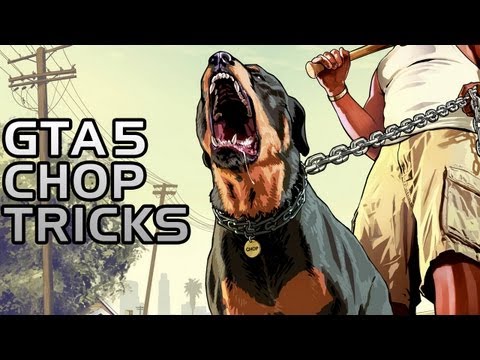 how to train chop the dog gta v