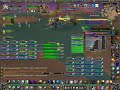 WoW Aq40 Prinzessin Huhuran Blackmoore Drunkenstyler