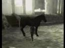 Shadow of the Colossus meets dj sharpnel Shadow of the Colossus meets dj sharpnel