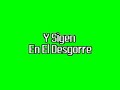 100 % chido
